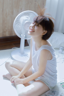 好看的后宫番